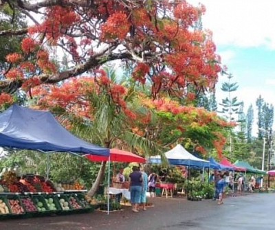 Symbi'Oz Location Farino - marché de farino