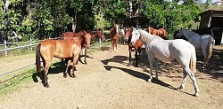 Symbi'Oz Location Farino-  Pocquereux Randonnée La Foa